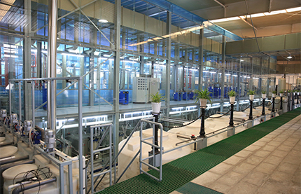 Newstar's Zero-Emission Electroplating: So Clean, Fish Thrive in the Water